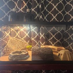 Reptile Terrarium 