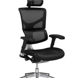 Xchair 2 Office Chair With Back Support Extras 