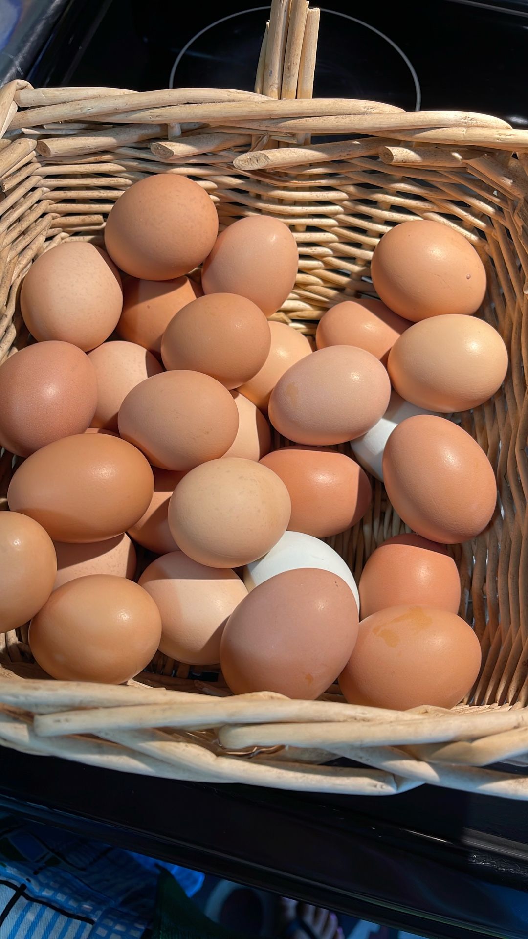 Organic Eggs