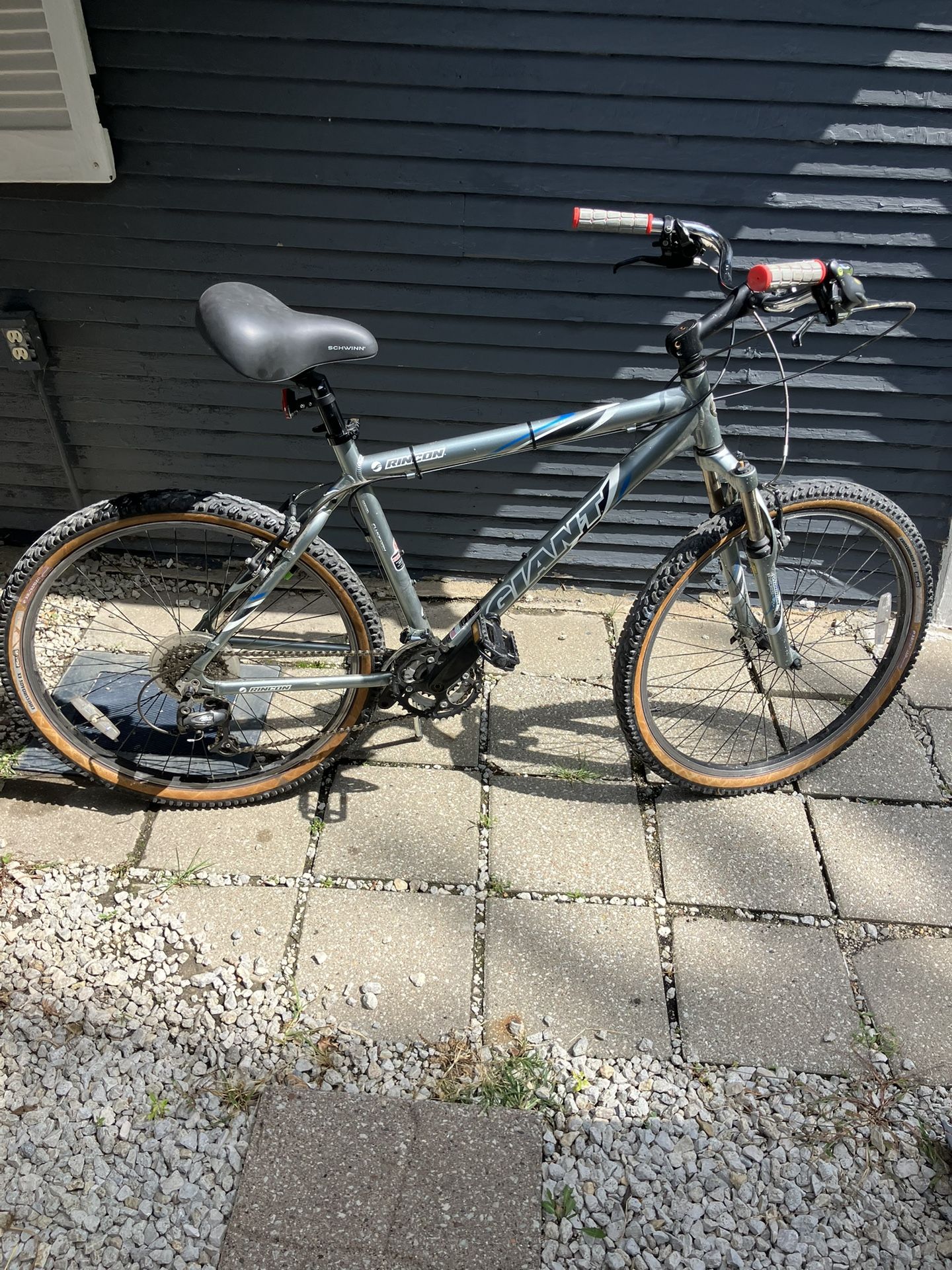 Giant Bike
