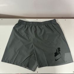 Nike Los Angeles Custom Shorts Men’s Size XXL