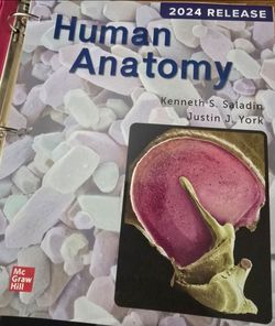 Human Anatomy Textbook 2024 Release Saladin