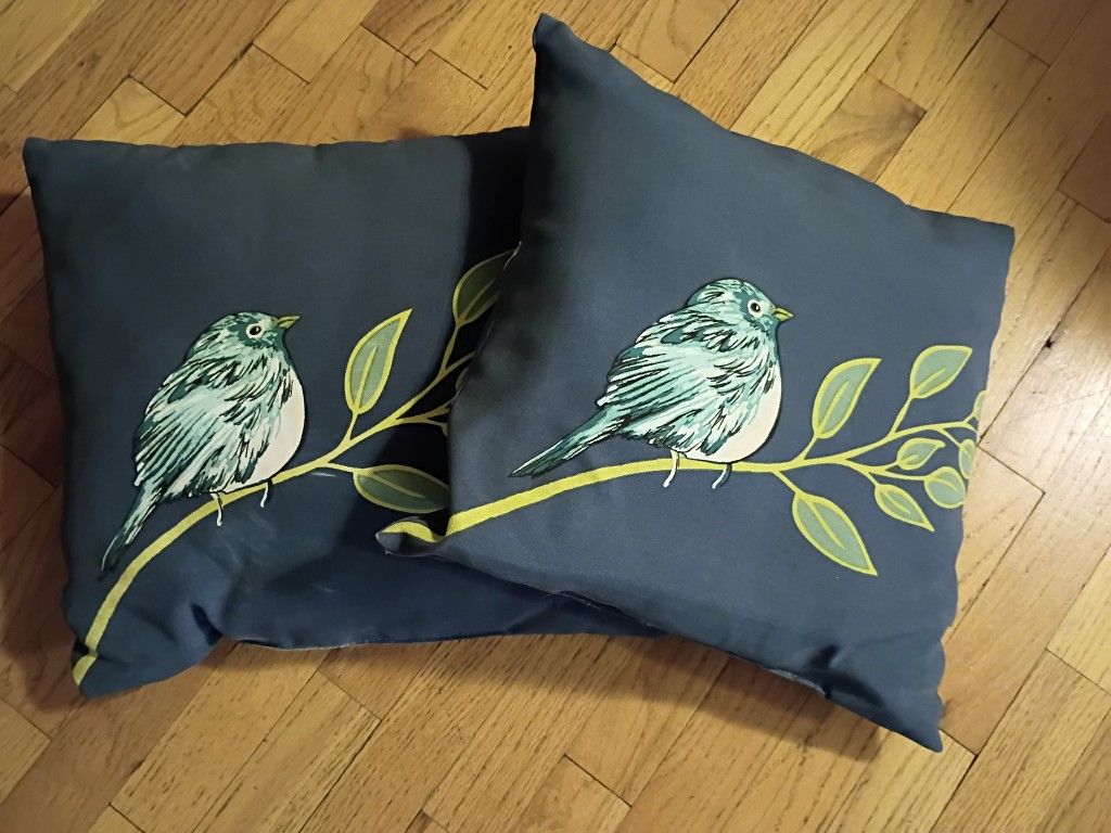 Outdoor Pillows - set of 2
