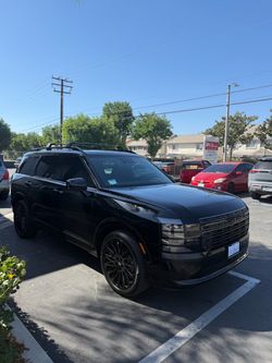 Tint for sale