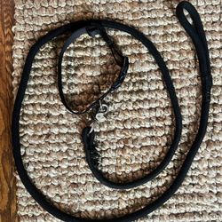 Six Foot Leash W Collar And Dog Puzzle