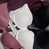 Used Bras 