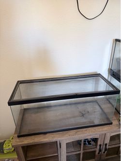 20 gallon reptile tank