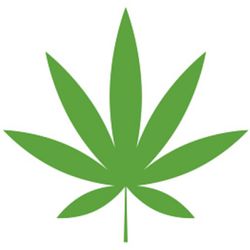 Want Security And Camera Equipment For cannabis Dispensary