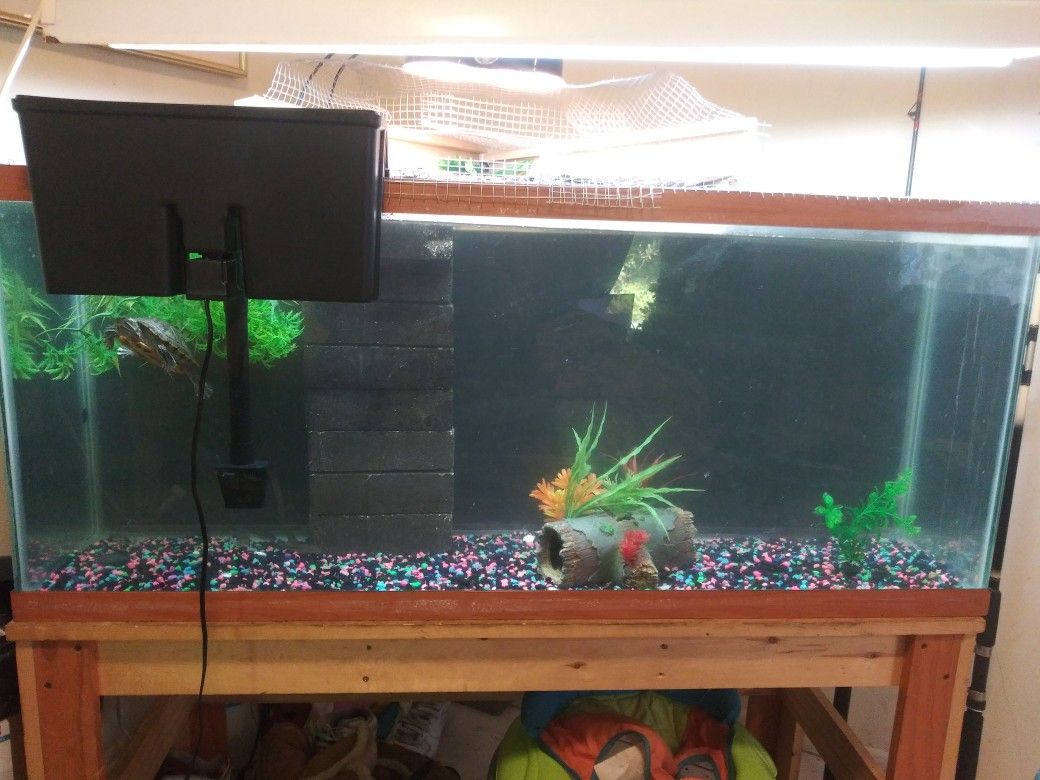 50 gallon tank with accessories