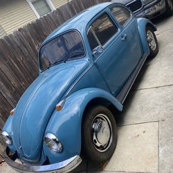 1968 Vw Beetle 
