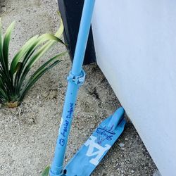 Razor 2 Wheel Scooter With Custom Dodger Design