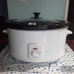 Slow cooker or crock pot
