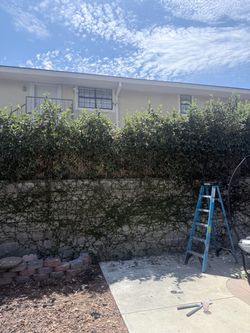 FREE - Landscaping Bricks Retaining Wall - Planter Wall Concrete Bricks FREE