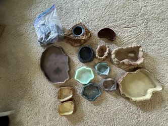 Reptile Supplies 