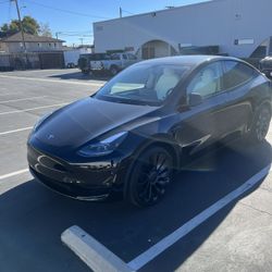 2025 Model Y Performance