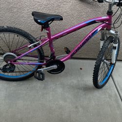 Schwinn Bike (bicycle) For Sale