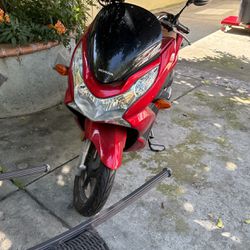 Honda Scooter