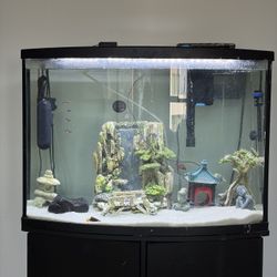 🐠 Top Fin 36-Gallon Bowfront Fish Tank + Stand – Full Setup