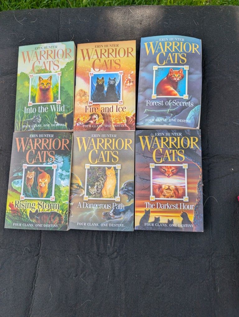 Warrior Cats Book Set