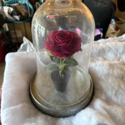 Rose Decor