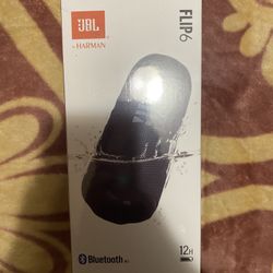 Jbl Flip 6