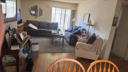 2 couches + 1 side chair