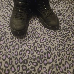 Men "Authentic" Air Jordan 12  For Sale....