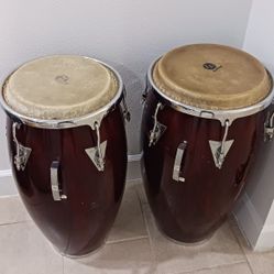 LP Congas