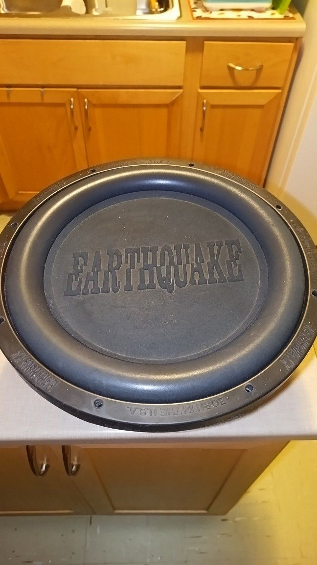 15 In Subwoofer Dual Coil Earthquake Woofer