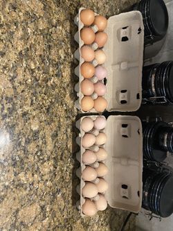 Eggs