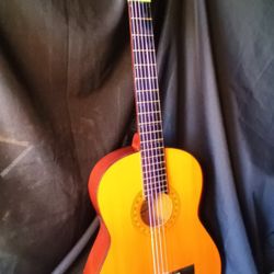 Acoustic Guitar Classical Style 