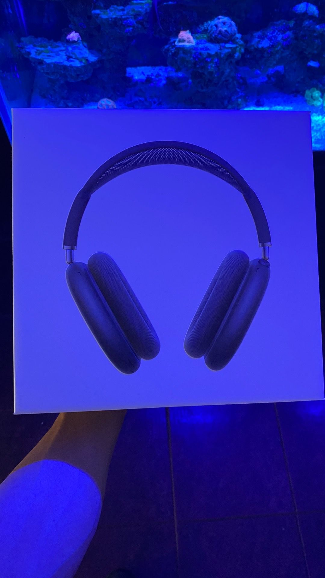 AirPod Max Midnight