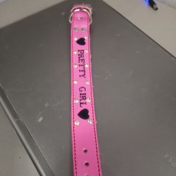 Dog Collar 100 % Leather  Custom  With Dog Name  All Sizes  S,M.L XL ( Collares Para Perros Todas Las Medidas  Personalizado)