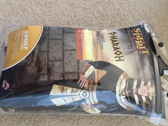 Halloween costume “Pharaoh”