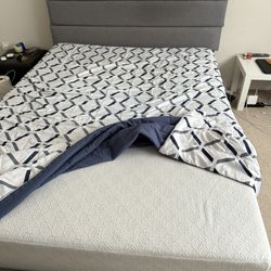 Full Size Mattress Only