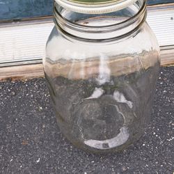 Rare Glass 1 Gallon Olive Jar