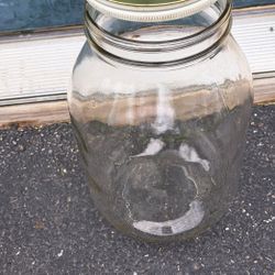 Rare Glass 1 Gallon Olive Jar Screw Cap