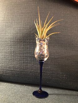 Wine glass rock and live plant