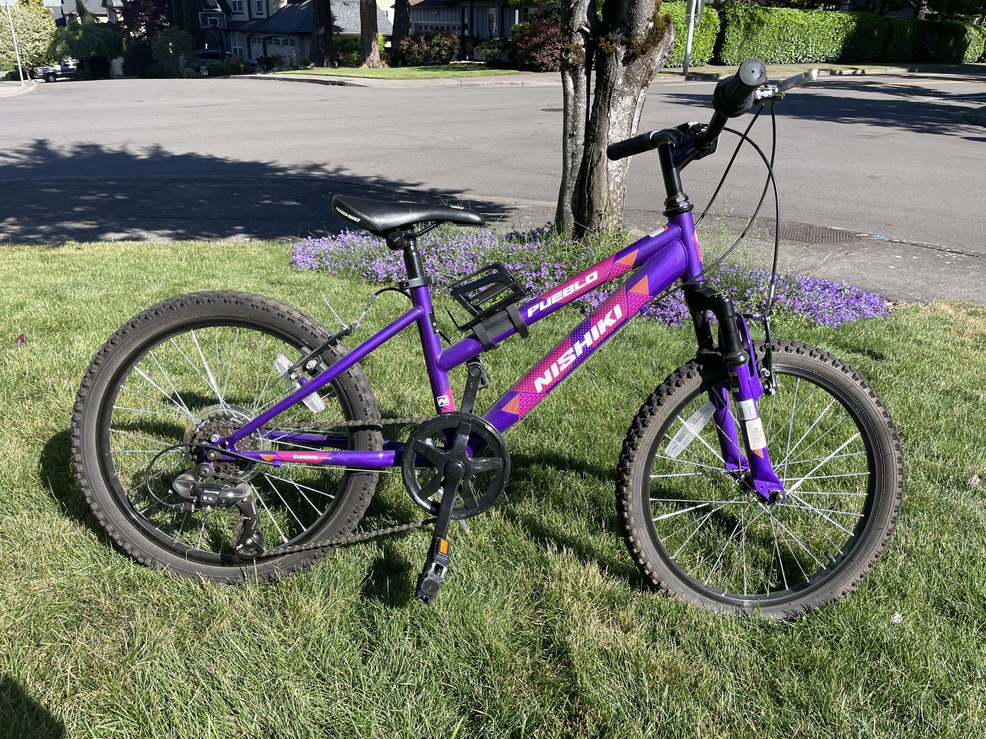 Nishiki 20” Girls Bike