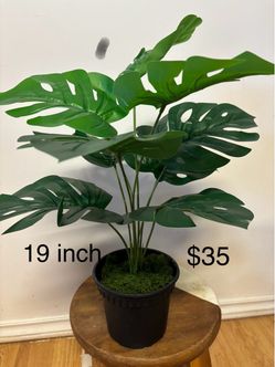 Artificial plant ( brand new )