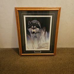"Eyes In The Night " By Daniel R. Pierce