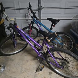 2 Mountain Bikes (Girls Bikes) $40