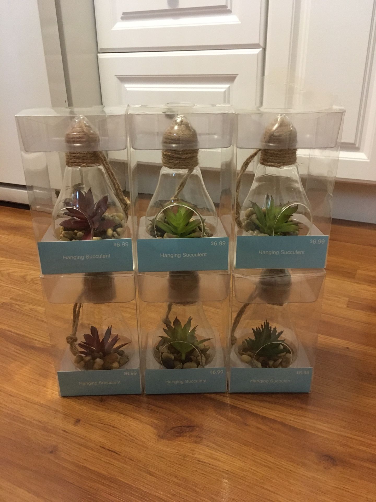 Artificial Succulent Plant Hanging Ornament Clear Glass Display Terrarium All 6 For $25