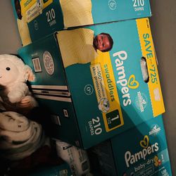 pampers- diapers 