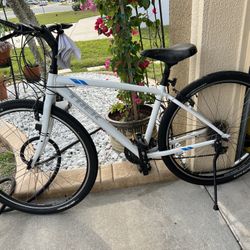 Trek Bike