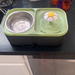 Cat Water And Food Bowl 