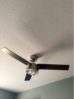 Ceiling fan