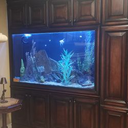 Aquarium 200 Gallon
