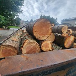 Fir Firewood Logs 12 Feet Long.