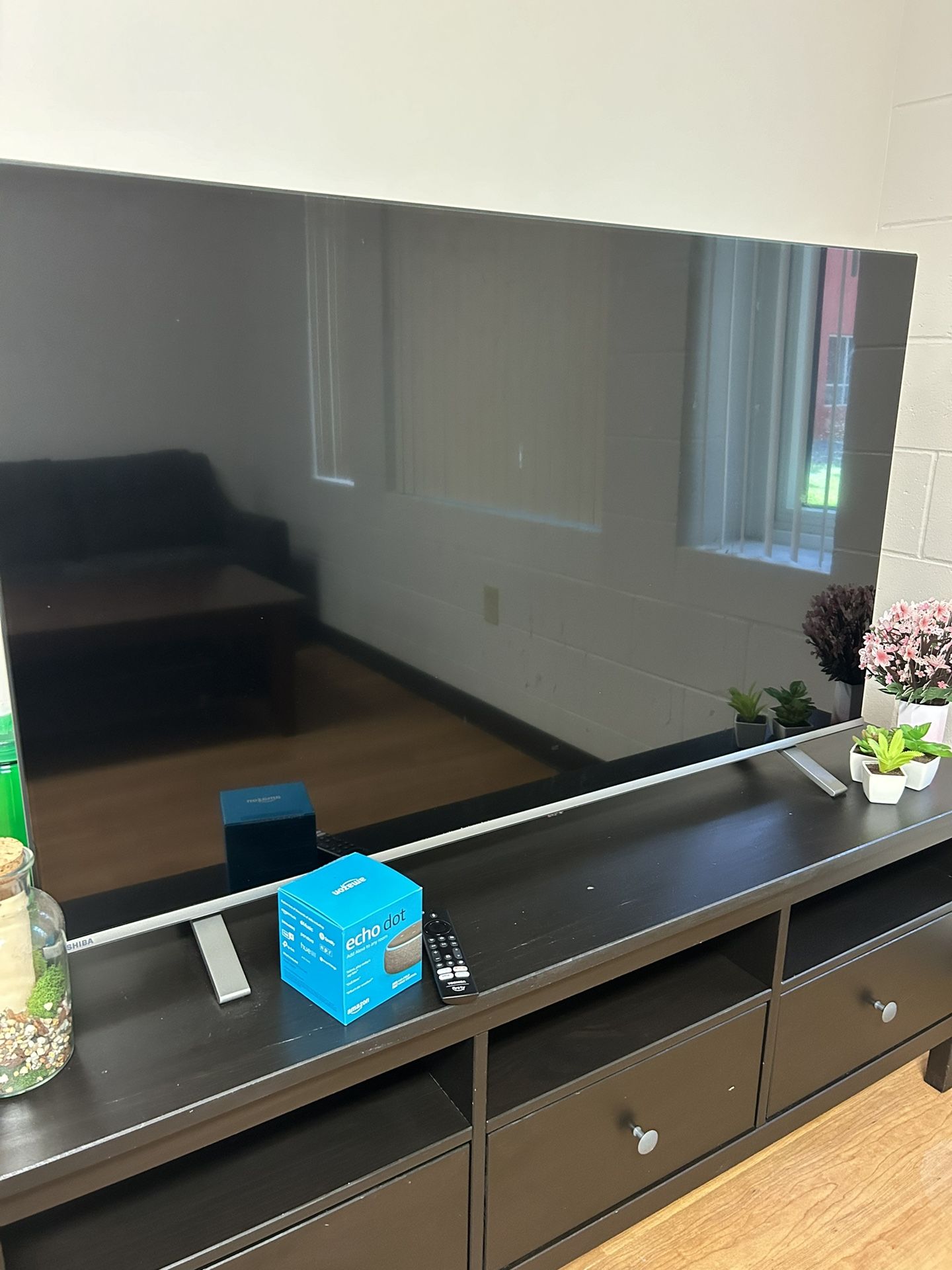 55’ Inch Toshiba Tv With Brand New Echo dot 